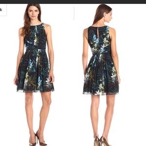 Ted Baker dress size 4.